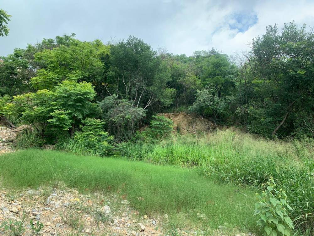 Imagen 2 de Terreno Habitacional en Sierra Nevada  370