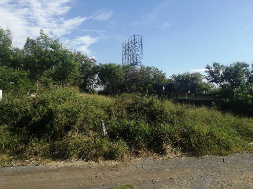Imagen principal para Terreno Habitacional en Venta