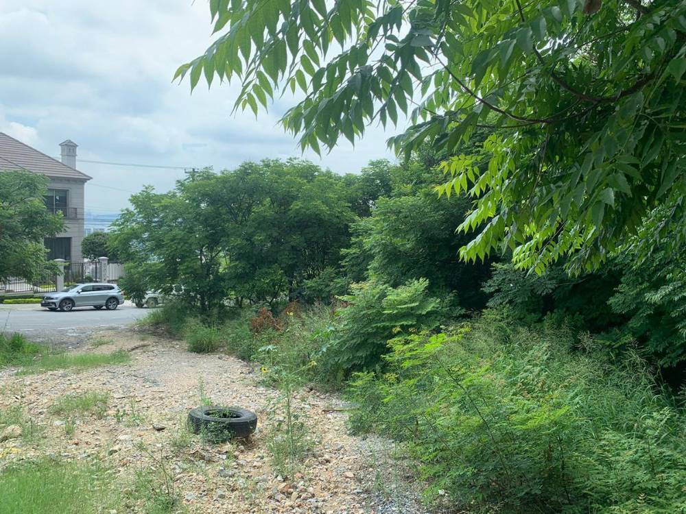 Imagen 3 de Terreno Habitacional en Sierra Nevada  370