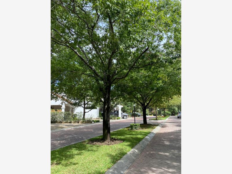 Imagen 12 de Casa en Venta