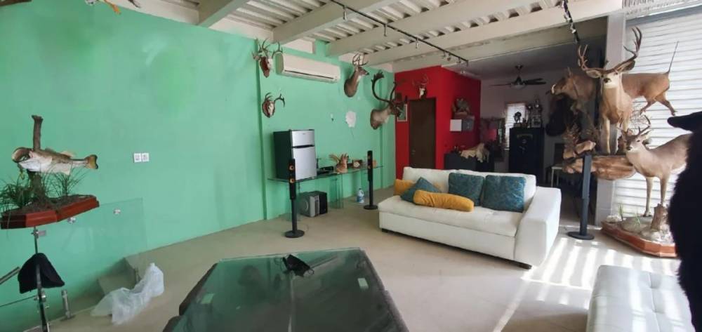 Imagen 11 de Casa en Venta