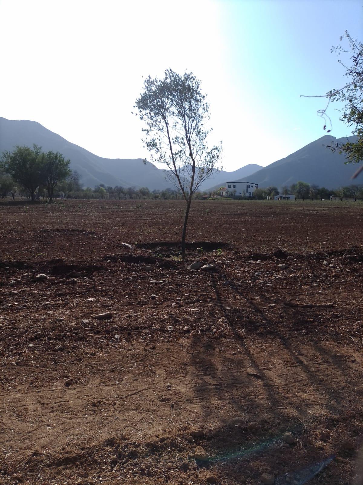 Imagen 8 de Terreno Comercial en Venta