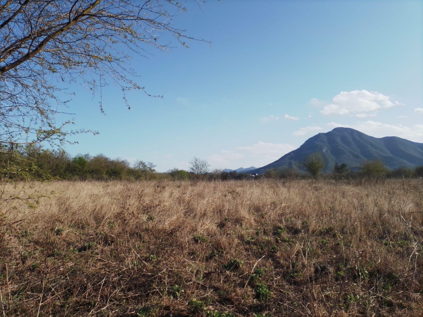 Imagen 4 de Terreno Comercial en Venta