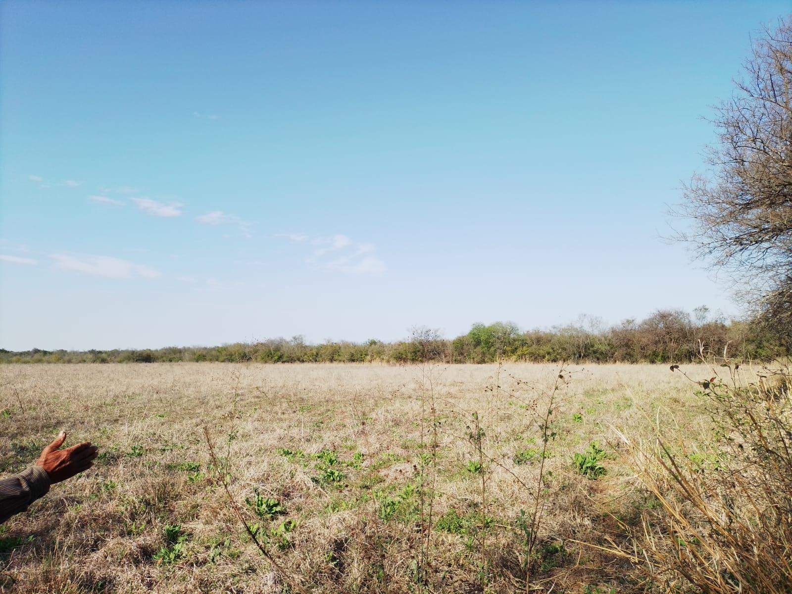 Imagen 6 de Terreno Comercial en Venta